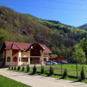 Гостиница Pensiunea Silva Dobra  Сугаг
